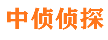 桐柏市私家侦探